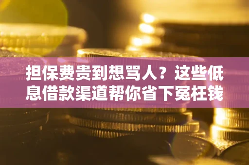 济南担保费贵到想骂人？这些低息借款渠道帮你省下冤枉钱