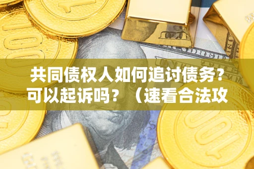 济南共同债权人如何追讨债务？可以起诉吗？（速看合法攻略）