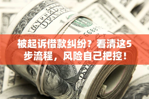 济南被起诉借款纠纷？看清这5步流程，风险自己把控！