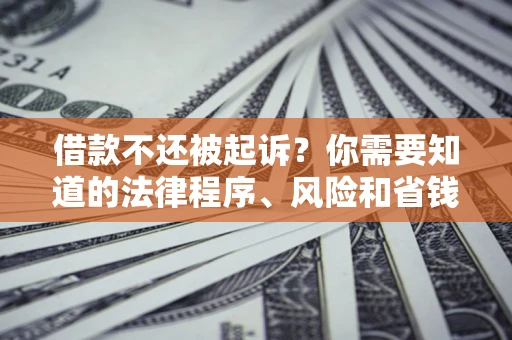 济南借款不还被起诉？你需要知道的法律程序、风险和省钱技巧